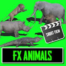 FX Animals for Shortfilm - FX Video Maker