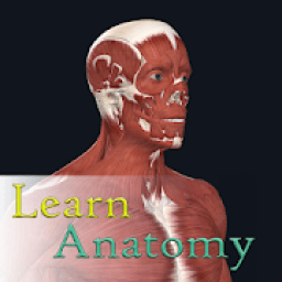 Learn Anatomy आइकन