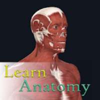Learn Anatomy