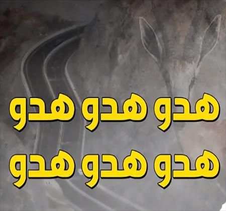 شيلة هدو هدو 2018 - بدون نت
‎ screenshot 2