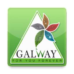 Galway Field Officer