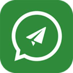 WhatsApp Direct Messages
