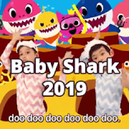 ikon Baby Shark 2019