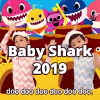 Baby Shark 2019