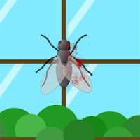 Fly Killer