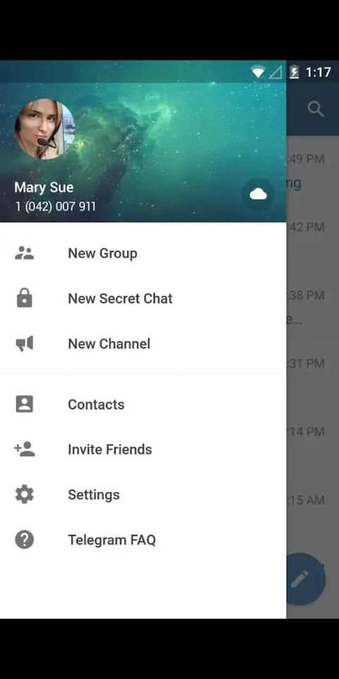 Videogram - new version screenshot 4