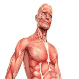 ikon Amazing Body Test