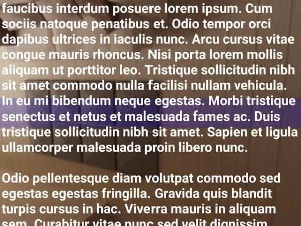 Speechix - Teleprompter Camera screenshot 1