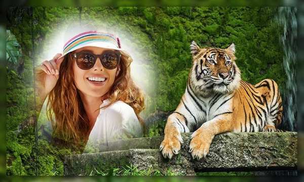 Wild Animal Photo Frames screenshot 3