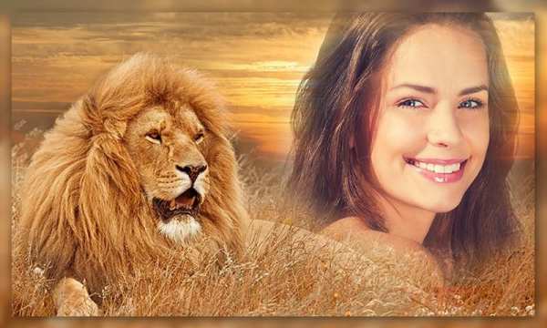 Wild Animal Photo Frames screenshot 6