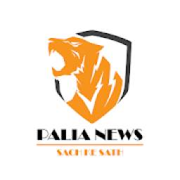 Palia News: News App