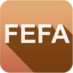 FEFA TV