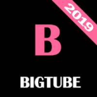 Bigtube VPN - Original Free VPN on 9Apps