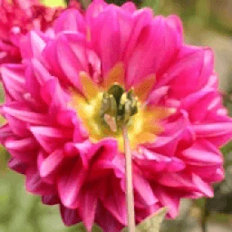 Arte en-Cauce 2019 - Galería Virtual icon