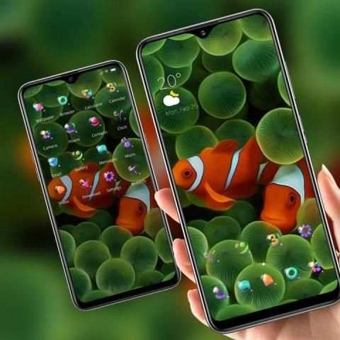 Colorful cute clownfish in the water grass theme screenshot 1