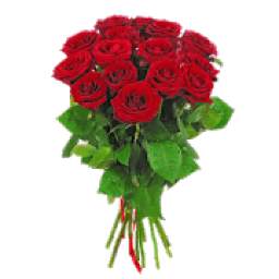 Roses Autocollants For WhatsApp WAStikerApp 1.0