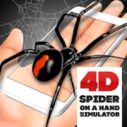 4D spider on a hand simulator