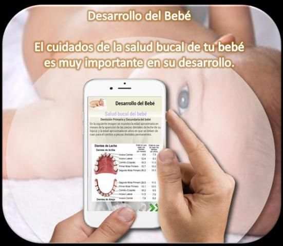 Desarrollo del Bebé * screenshot 4