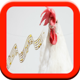 ikon Animal Sound And Name For Free