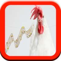 Animal Sound And Name For Free