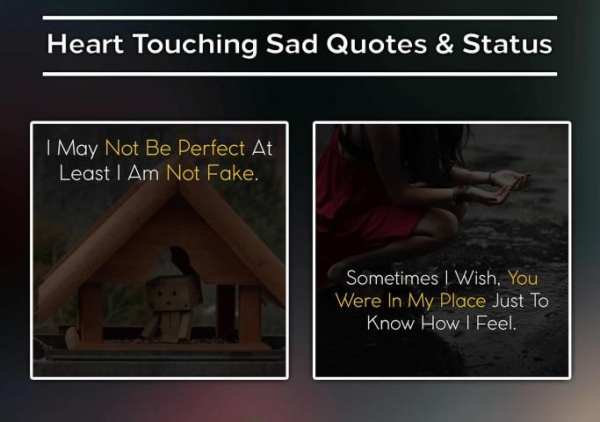 DP & Status - All-in-One Status, Shayari, Quotes screenshot 16