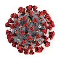 Coronavirus realtime statistics on 9Apps