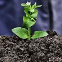 FARMER ID LIST SEARCH