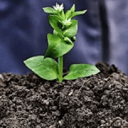 FARMER ID LIST SEARCH आइकन