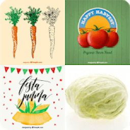 Tebak Gambar Sayur - Sayuran icon