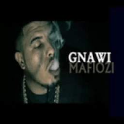 Gnawi larmy sla بدون انترنت 2.0