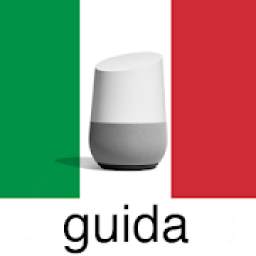 Dì Ok Google 1.0