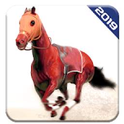 Angry Horse Racing 3D Simulator