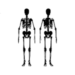 Quiz Sistemas do Corpo Humano icon