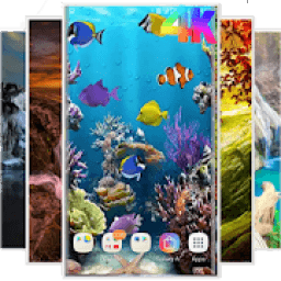 ikon the best wallpaper 4k