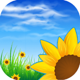 Gallery आइकन