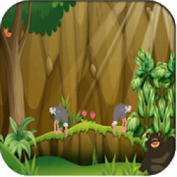 ikon Escape Games 8B 101