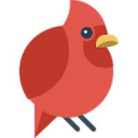 Dove dive -Puzzle Bird Game