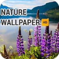 Nature Wallpaper HD on 9Apps