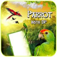 Parrot Insta DP Maker – Love Birds