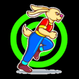 Run Rabbit Race 3D आइकन