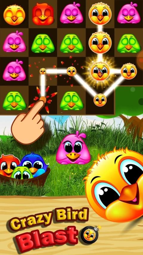 Crazy birds blast - match birds game screenshot 5