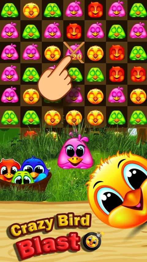 Crazy birds blast - match birds game screenshot 2