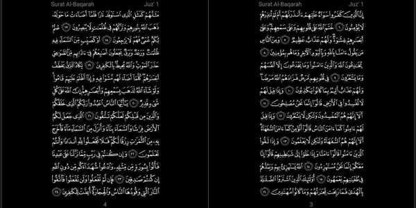 Al-Qur'an Indonesia 2019 10 تصوير الشاشة