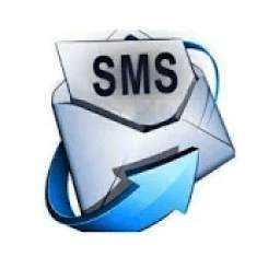 Smart Mobile Solution (SmS)