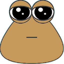 Pou 2019 1.3