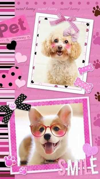 Lively Photo Frames - DIY Photo Live Wallpaper screenshot 5