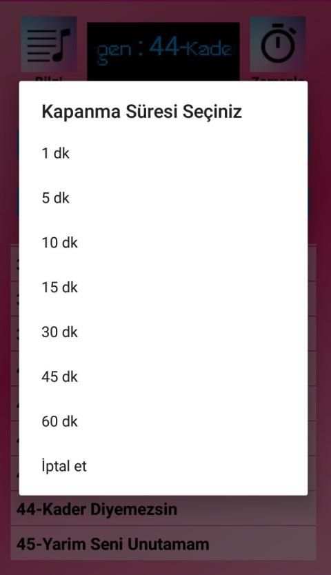Bergen Şarkıları (İnternetsiz 45 Şarkı) screenshot 6