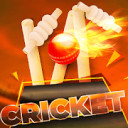 Indian Cricket League 2019: World Premier Cup आइकन
