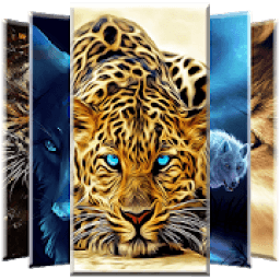 Cute Animal Wallpaper आइकन