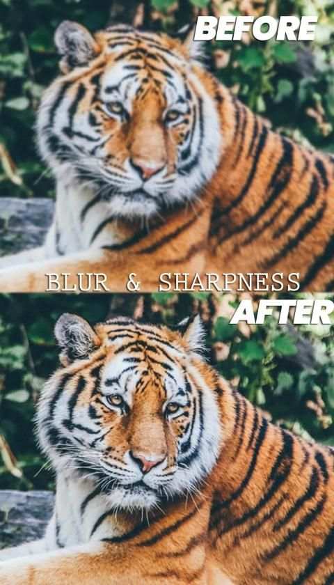 Ultra Photo Editor स्क्रीनशॉट 5